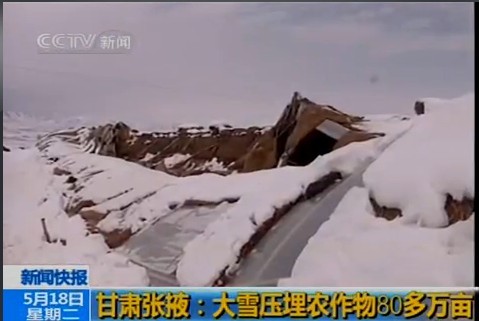 五月张掖惊现鹅毛大雪 积雪最厚可达20厘米 Rurl4_b=997d04fcab889809539f64dd81daec06ba36b9c1b9d92034b431792bb6316d3e7bc3cba8d77b5e246cccf46180aeceda3e30dcbe6c8a62d7770ebeb297bd5f52c9e1b690508604f1f805e25f4fc14ed89ba25788&a=42&b=41